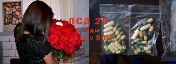 гидра Богородск