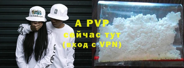 эйфоретик Богданович