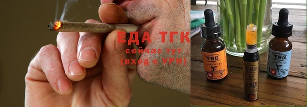 гидра Богородск