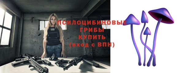 гидра Богородск