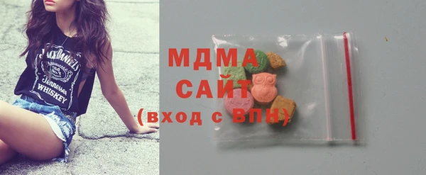 гидра Богородск