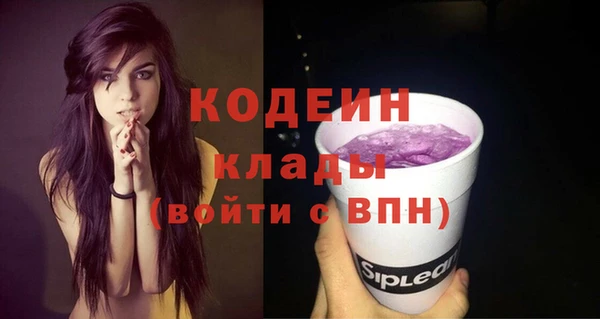 эйфоретик Богданович