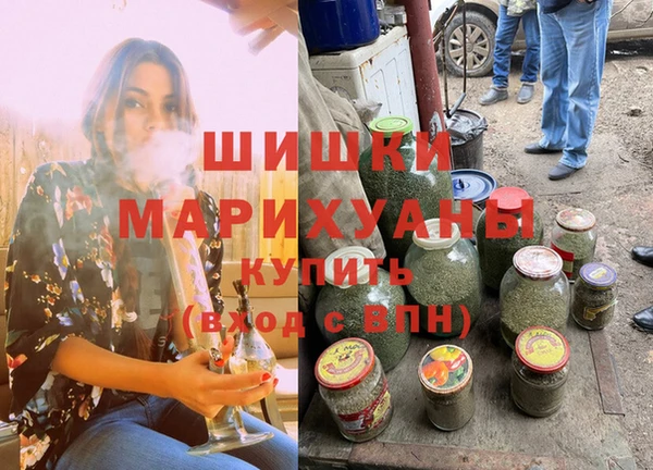 гидра Богородск