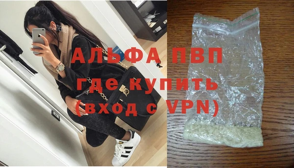 эйфоретик Богданович