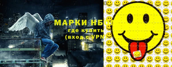 гидра Богородск