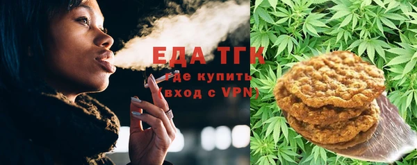 гидра Богородск