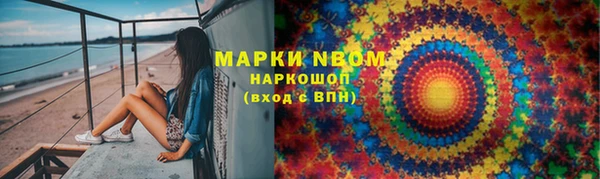 гидра Богородск