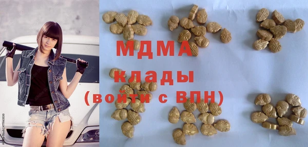 гидра Богородск