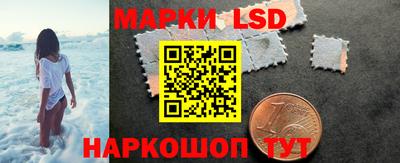 альфа пвп Новодвинск