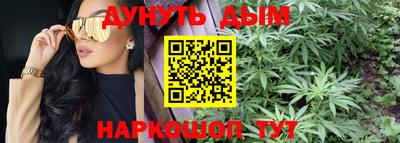 альфа пвп Новодвинск
